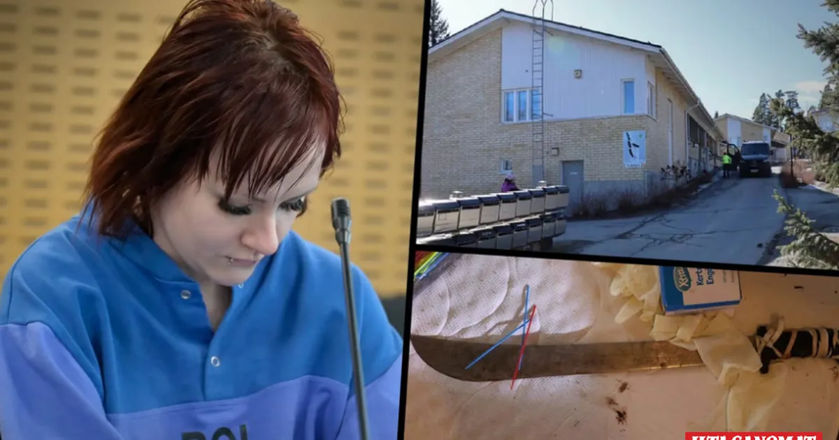 FOTOD ⟩ Šokeeriv mõrv Soomes: tapetu viidi kaubikuga minema ja püüti matšeetega tükeldada