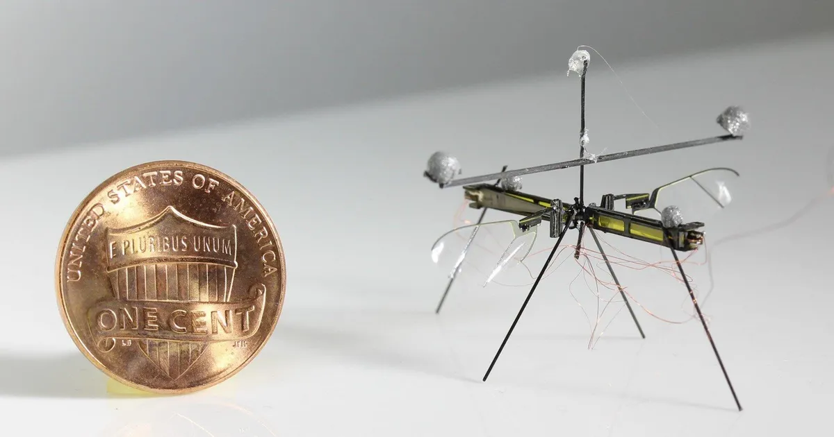 LUURAMISE UUS TASE ⟩ DARPA hakkab looma putukasuuruseid tillukesi roboteid – ka lendavaid