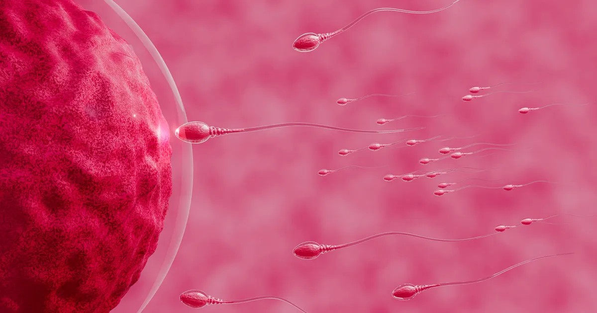 PANDEEMIA PÄRAND ⟩ COVID-19 muudab meeste spermat ja mõjutab sündimata lapse aju arengut