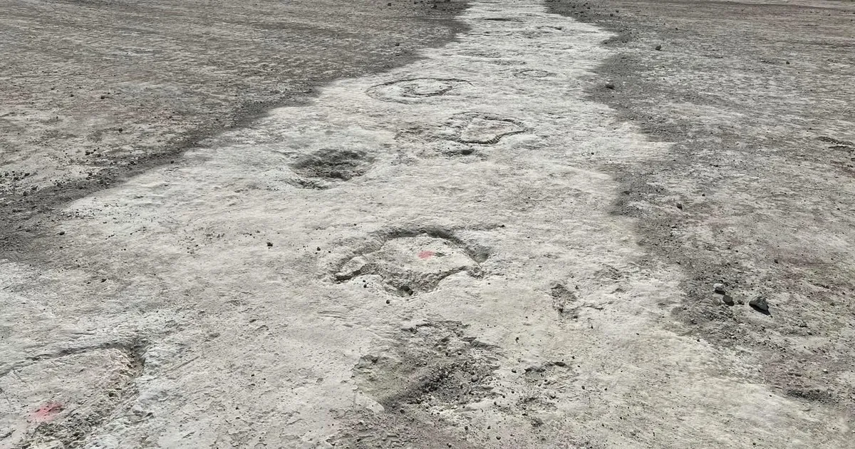 Inglismaa karjäärist leiti Euroopa pikim dinosauruste jäljerada