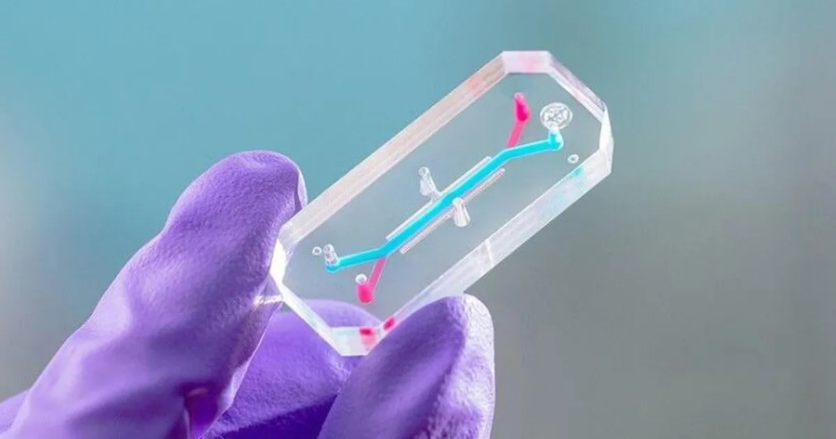 LISATUD VIDEOD ⟩ NASA teeb elusatest astronautidest bioloogilisi kiipe – milleks seda vaja?