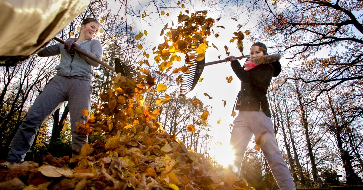NÄDALA AED ⟩ Kas lehti tuleks riisuda?
