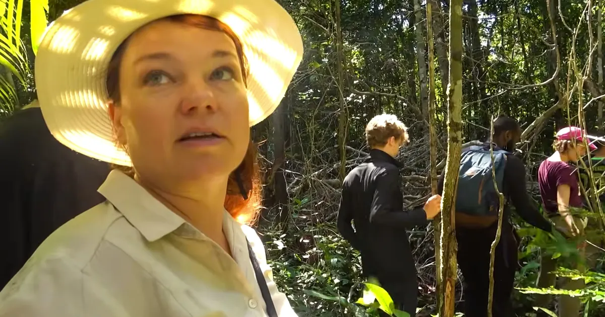 Hiiliv jaaguar ja nõelavad sipelgad: Tuuli Roosma pere ei peljanud magada Amazonase vihmametsas lageda taeva all