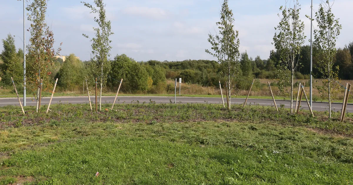 «MU POJA PÄÄSTMISE LUGU!» ⟩ Tartlanna tänab südamest inimest, kes eksinud lapse koju aitas