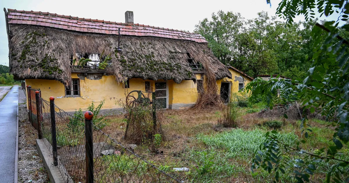 Ungaris tekitab poleemikat väidetavalt romade vastu suunatud seadus