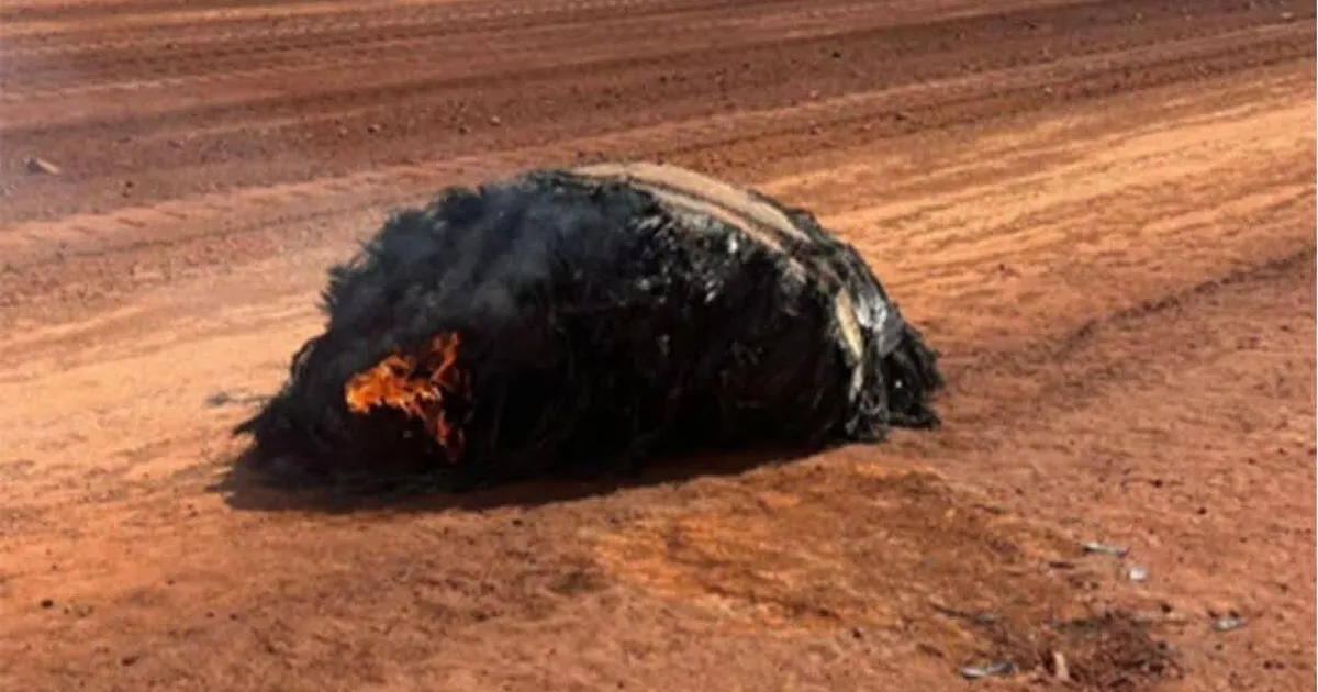 Tuli taevast ja suitses: veider objekt jahmatas Austraalia kaevureid