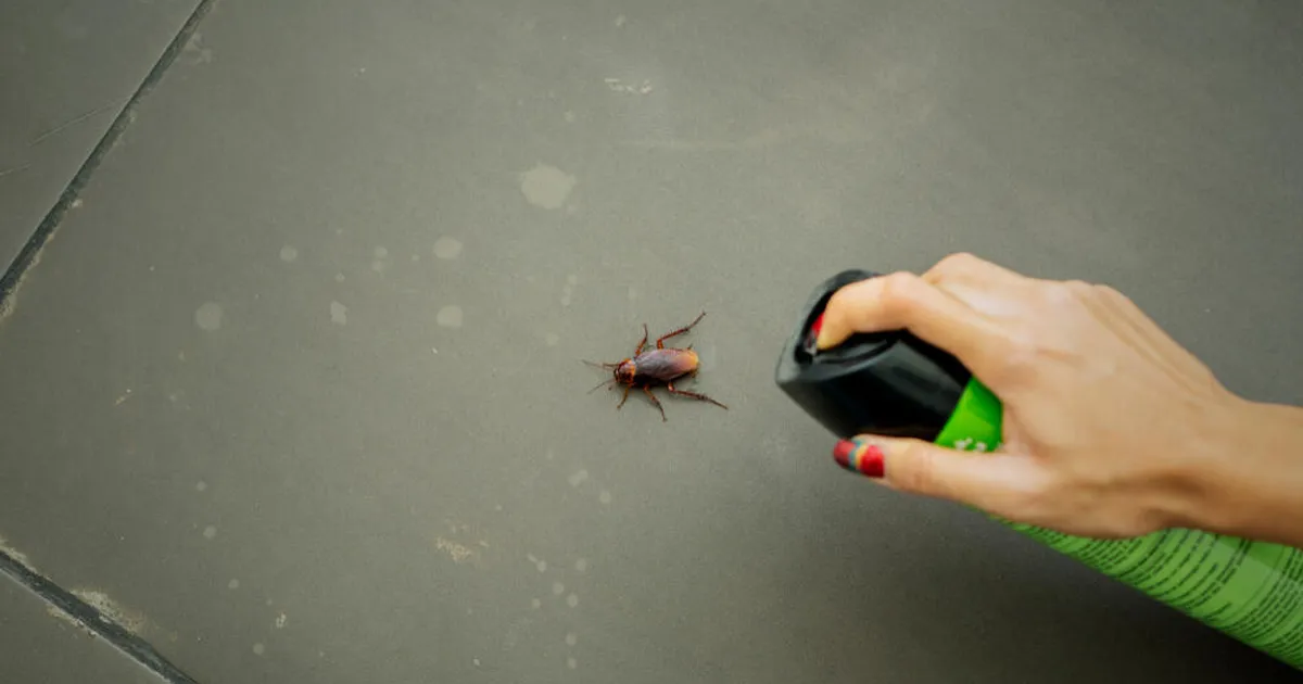 Leegiheitjaga prussakat tapnud naine süütas kortermaja: üks naaber hukkus!