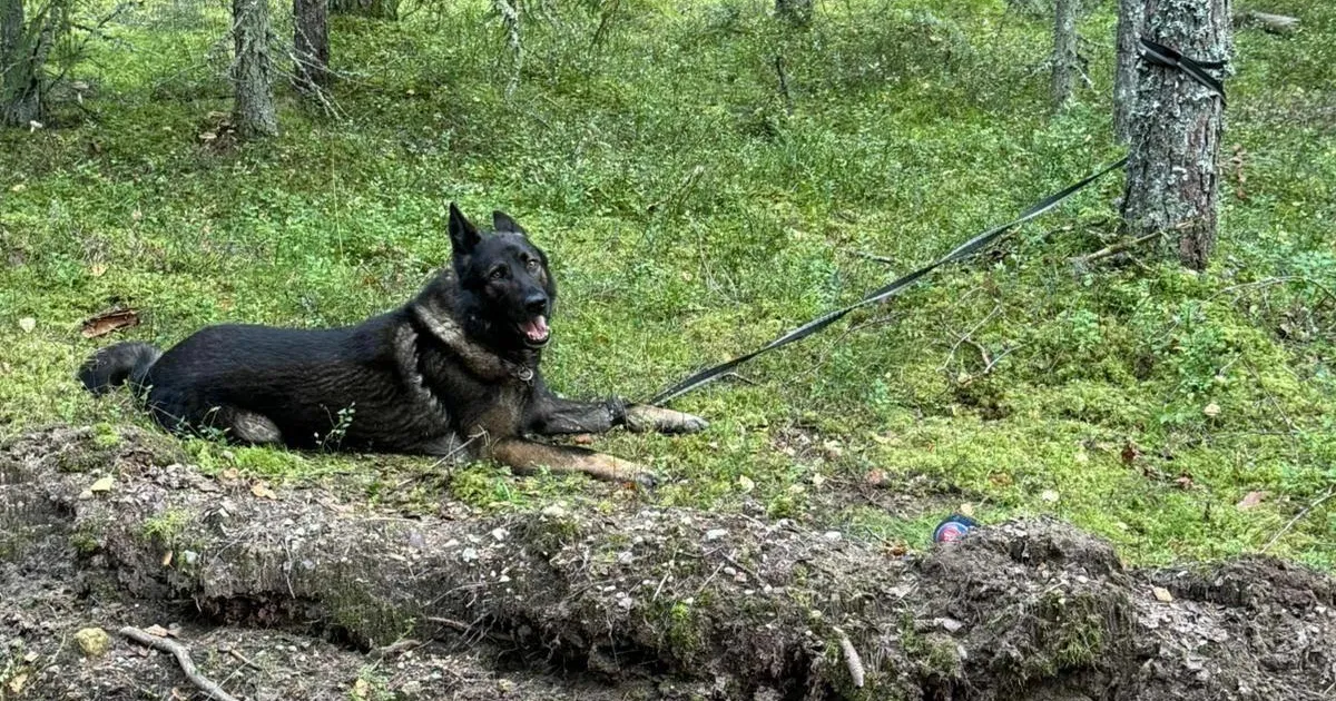 Looma päästeaktsioon paisus ebaõiglaseks tormiks