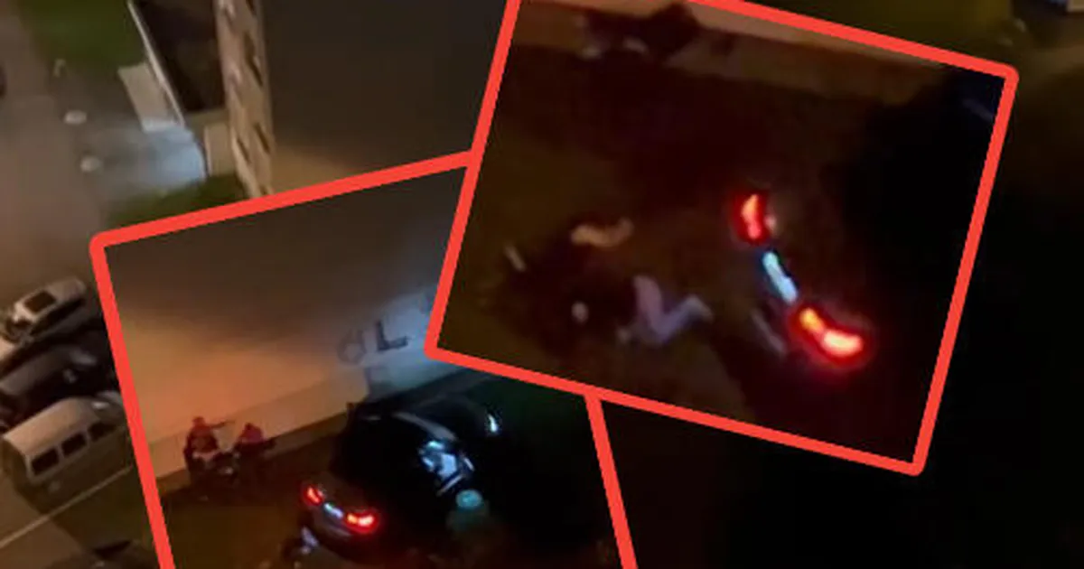 ÕÕVASTAV VIDEO ⟩ «Ettevaatust, meie seas on ebastabiilseid inimesi!» Tallinnas toimunud peksmises sai viga kaks inimest