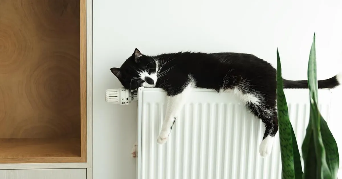 Apteeker hoiatab: keskküte võib sinu tervisele rohkem kahju teha kui arvad