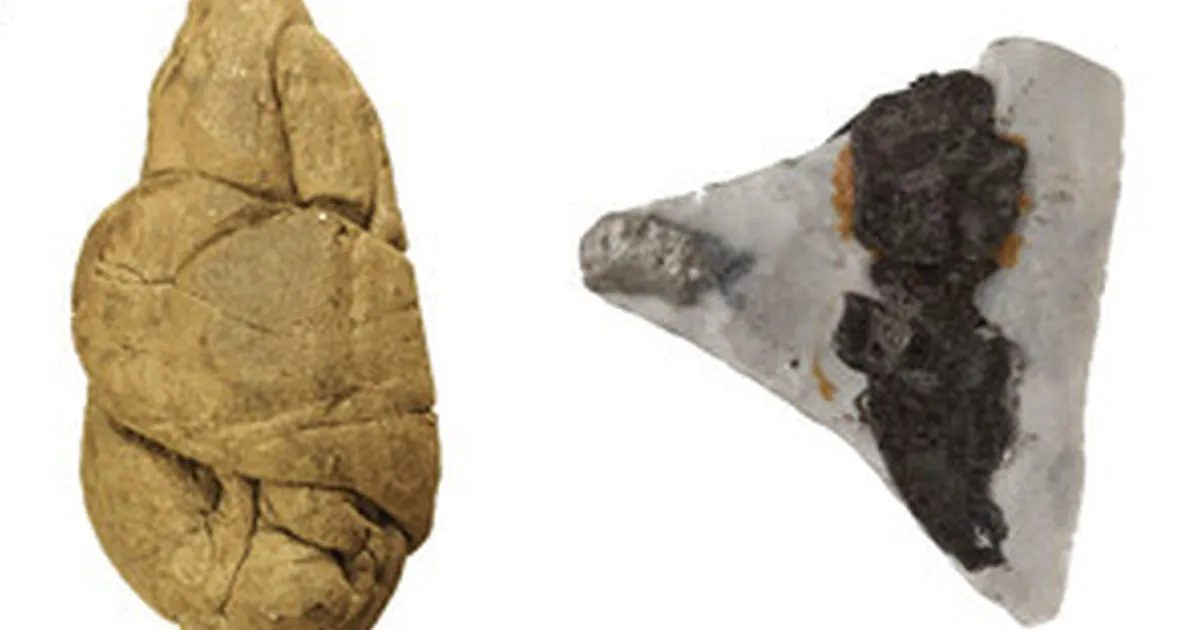 6000 aastat vana närimiskumm paljastas midagi üllatavat kiviaegse elu kohta