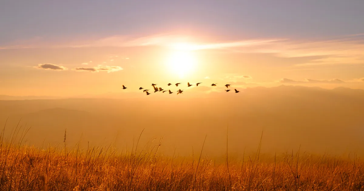 KUULOOMISE HOROSKOOP ⟩ Alanud on teguderohke kuutsükkel: võimuküsimustes otsitakse uut tasakaalu