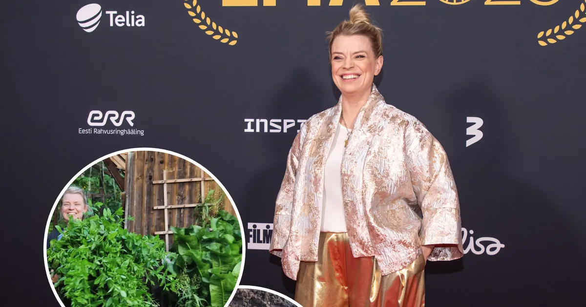 KAS SUURUS LOEB? ⟩ Grete Lõbu kasvatas koduaias «suusakepi» mõõtu mädarõika