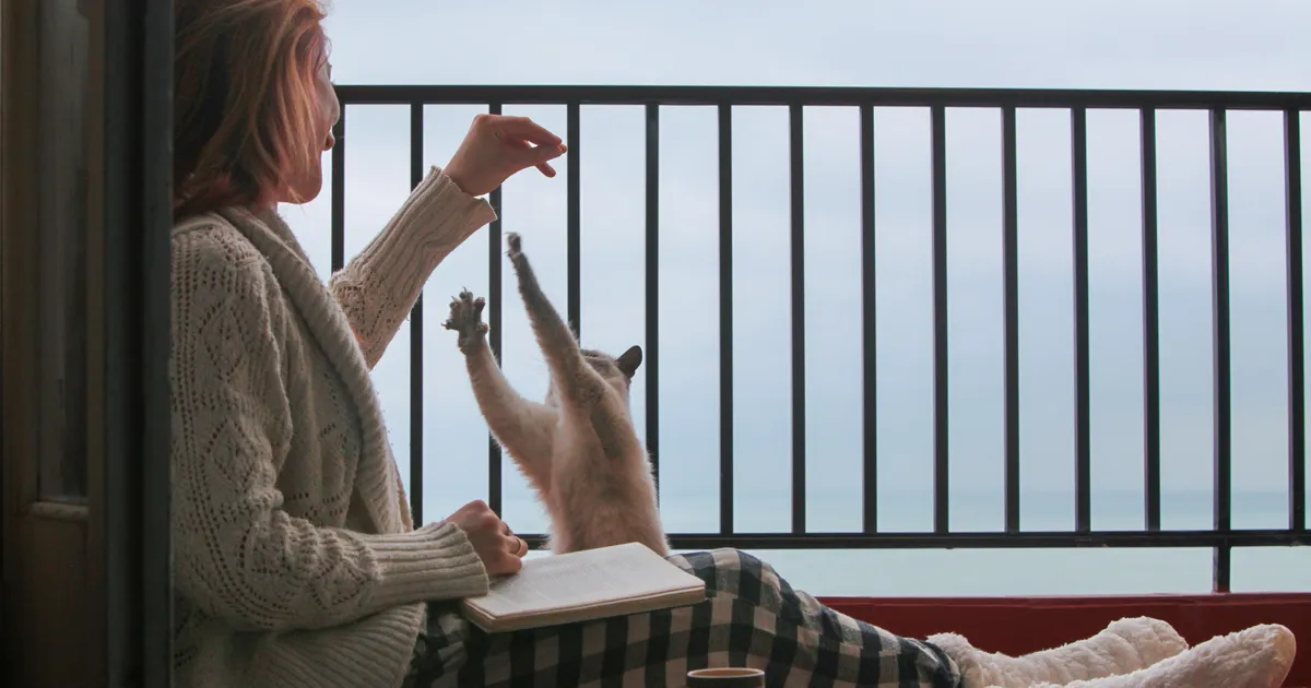 Raamatukoguhoidja soovitab 4 eripalgelist teost, mida on võimatu pooleli jätta