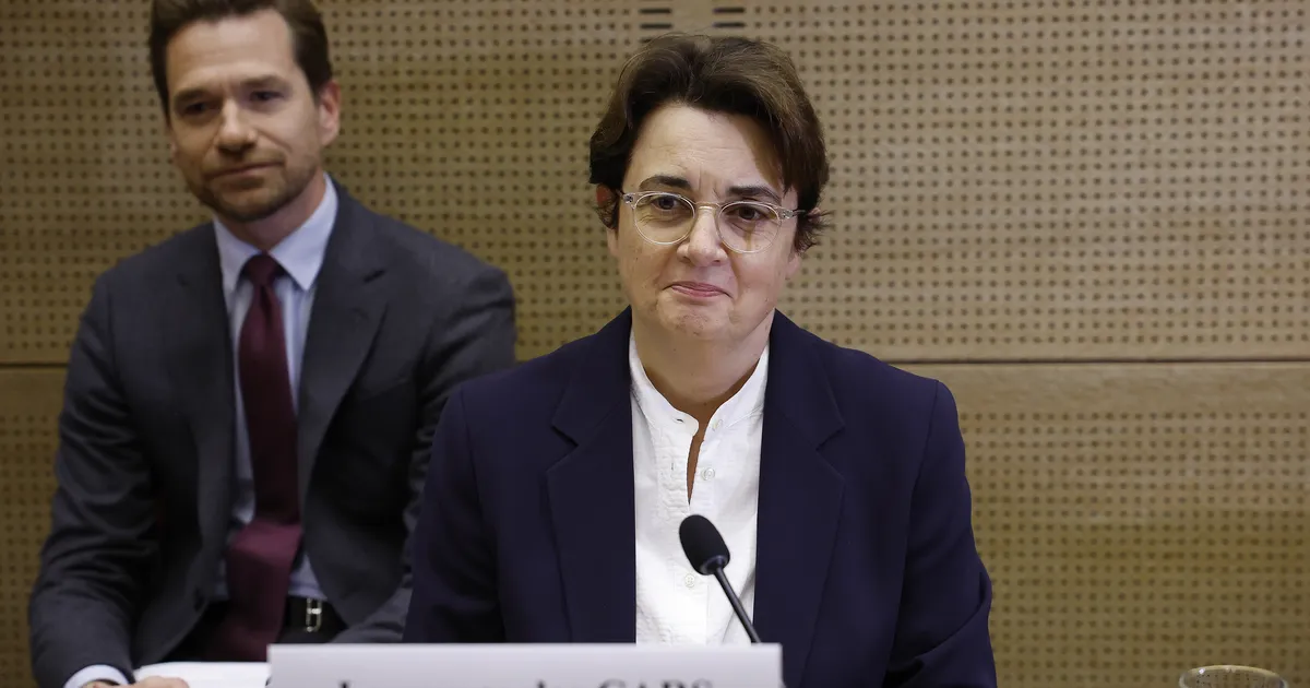 KAHJU 88 MILJONIT ⟩ Louvre'i direktor tegi skandaalse röövi järel jahmatava ettepaneku