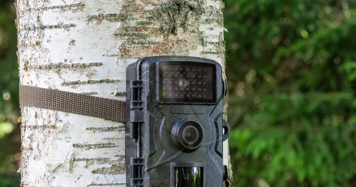 USKUMATU ⟩ Rajakaamera ette jäi loom, keda nähti viimati 100 aastat tagasi