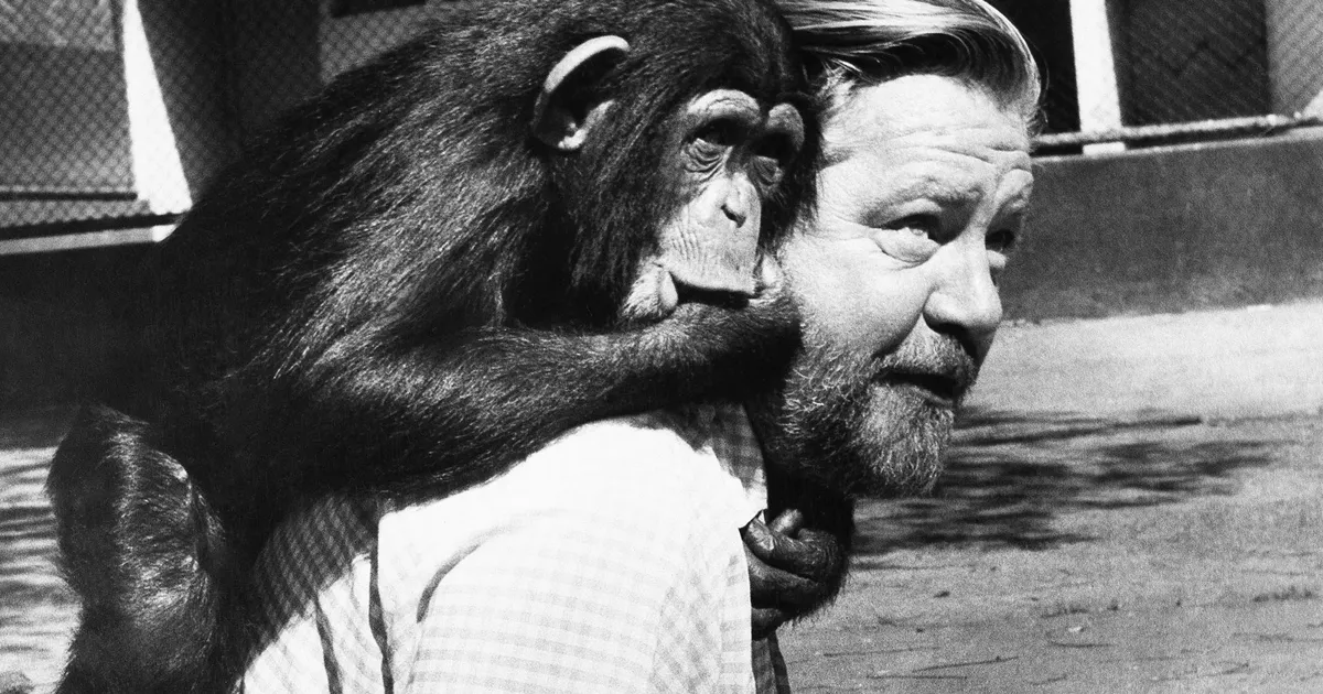 JÄRJEJUTT ⟩ Gerald Durrell meenutab päeva, kui märkas oma elu esimest karvast konna