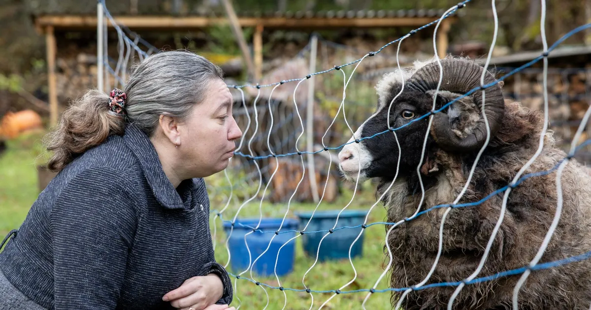 INTERVJUU ⟩ Silvia Lotman jäärapäiseid vastaseid ei karda