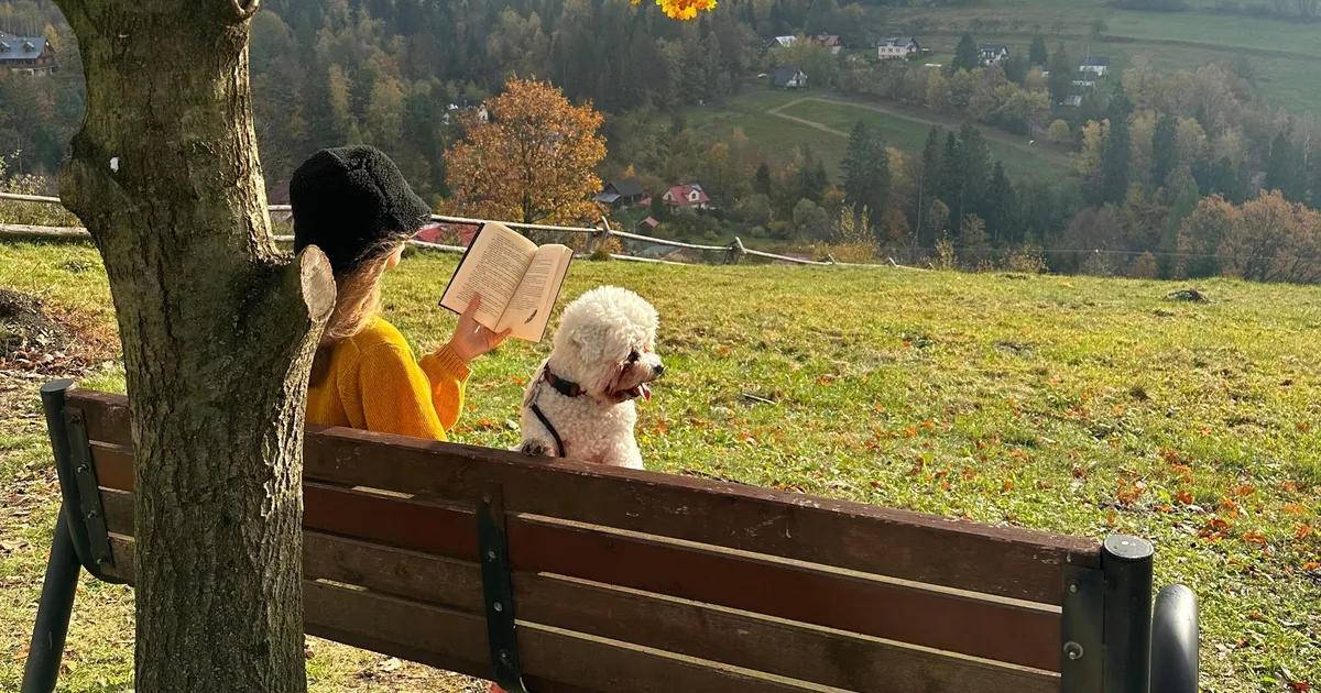 KRIMIKUU SOOVITUSED ⟩ 8 uut põnevikku, mida on võimatu käest panna