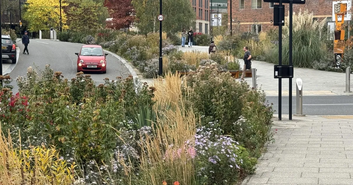 KESKKOND ⟩ Hallist roheliseks ehk kuidas Inglise tööstuslinnast sai roheline edulugu