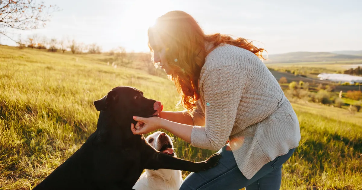 10 tsitaati, mis tuletavad meelde, et õnn on valik