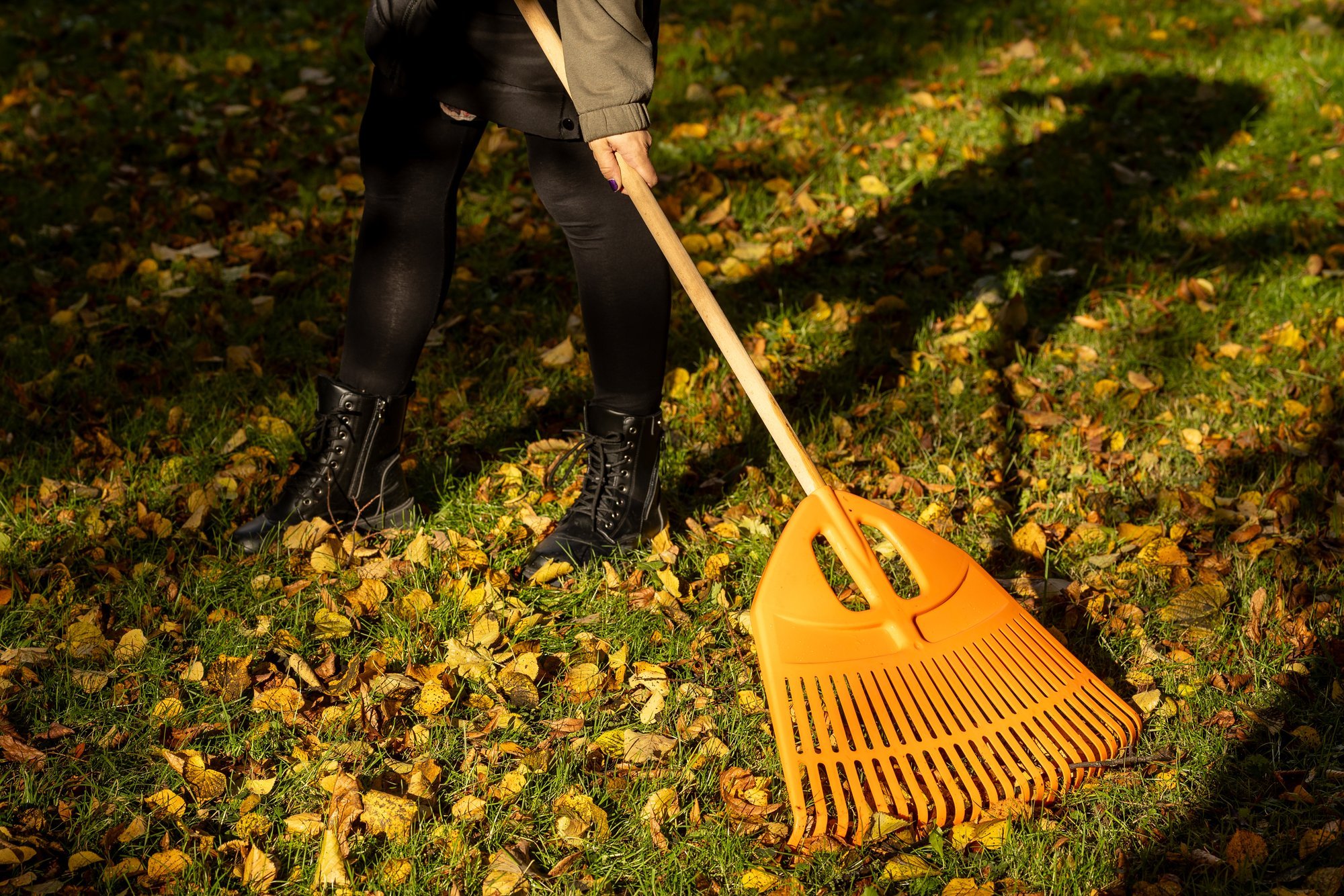 Keskkonnaamet: lehti võiks riisuda nii vähe kui võimalik ja nii palju kui vajalik