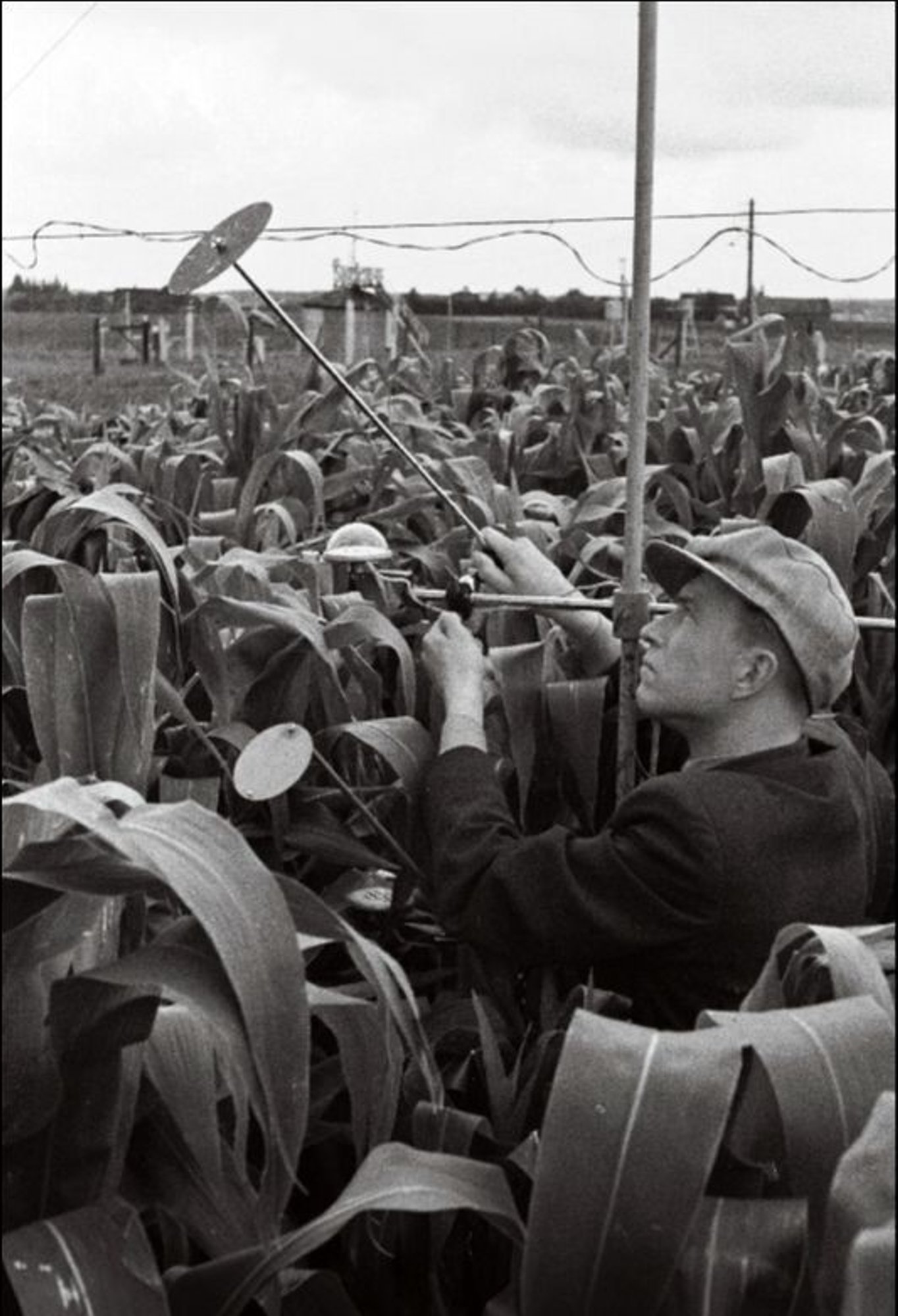 Prohvet, kes võinuks olla kuulsam