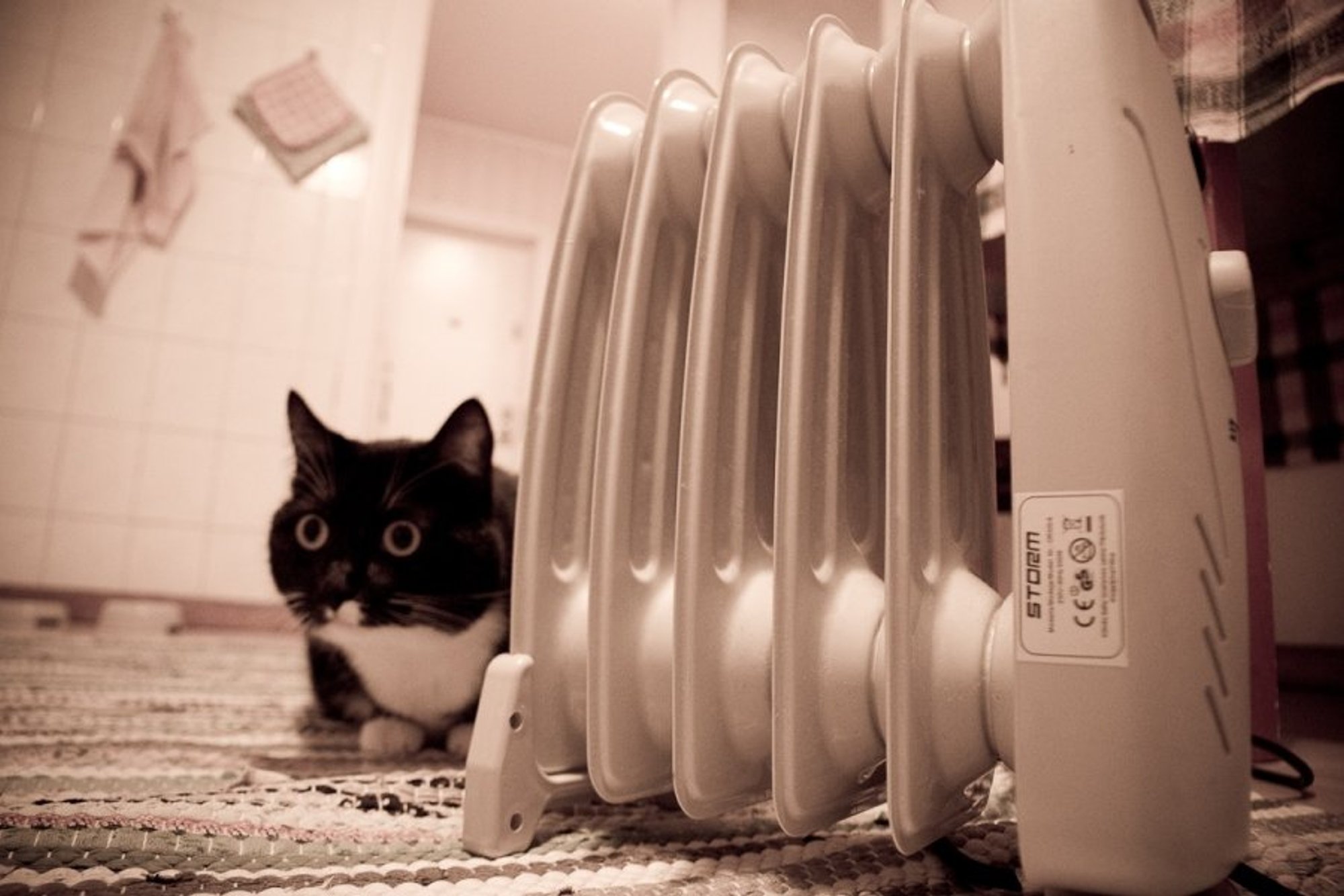 Tuleb keeruline talv. Kaks kolmandikku peresid peab küttekulude katteks kärpima muid kulusid