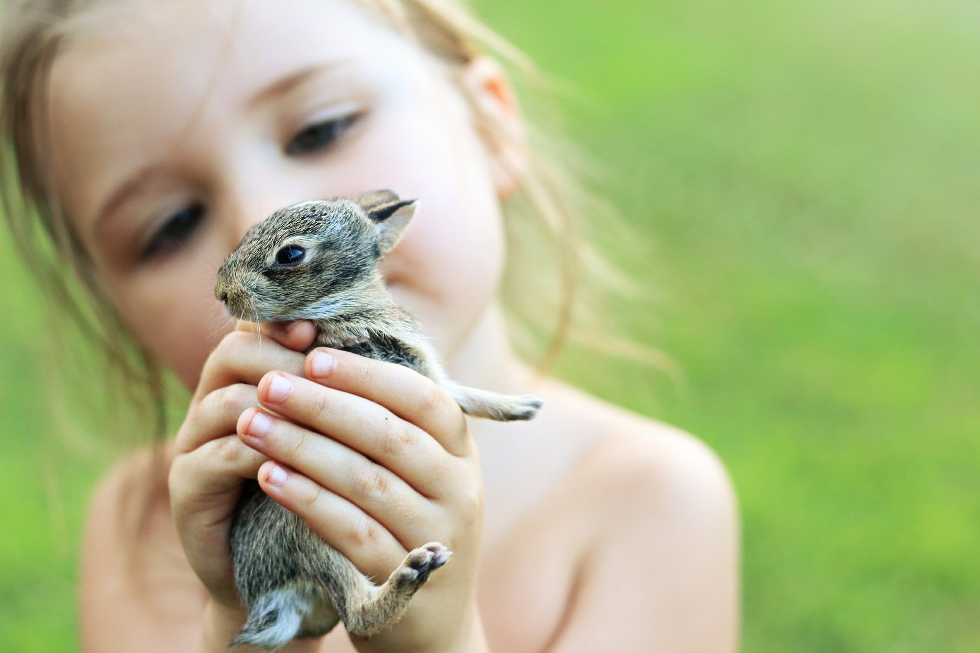 VIDEO | „Teda me enam aidata ei saanud.“ Inimese liigne agarus lõppes jänesepoja surmaga