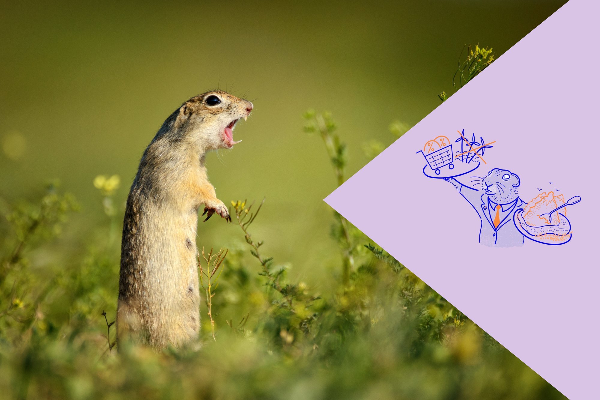 NÄDALA SUSLIKUD | Uued petturerakonnad jäid libalubadustega vahele, üks hullem kui teine