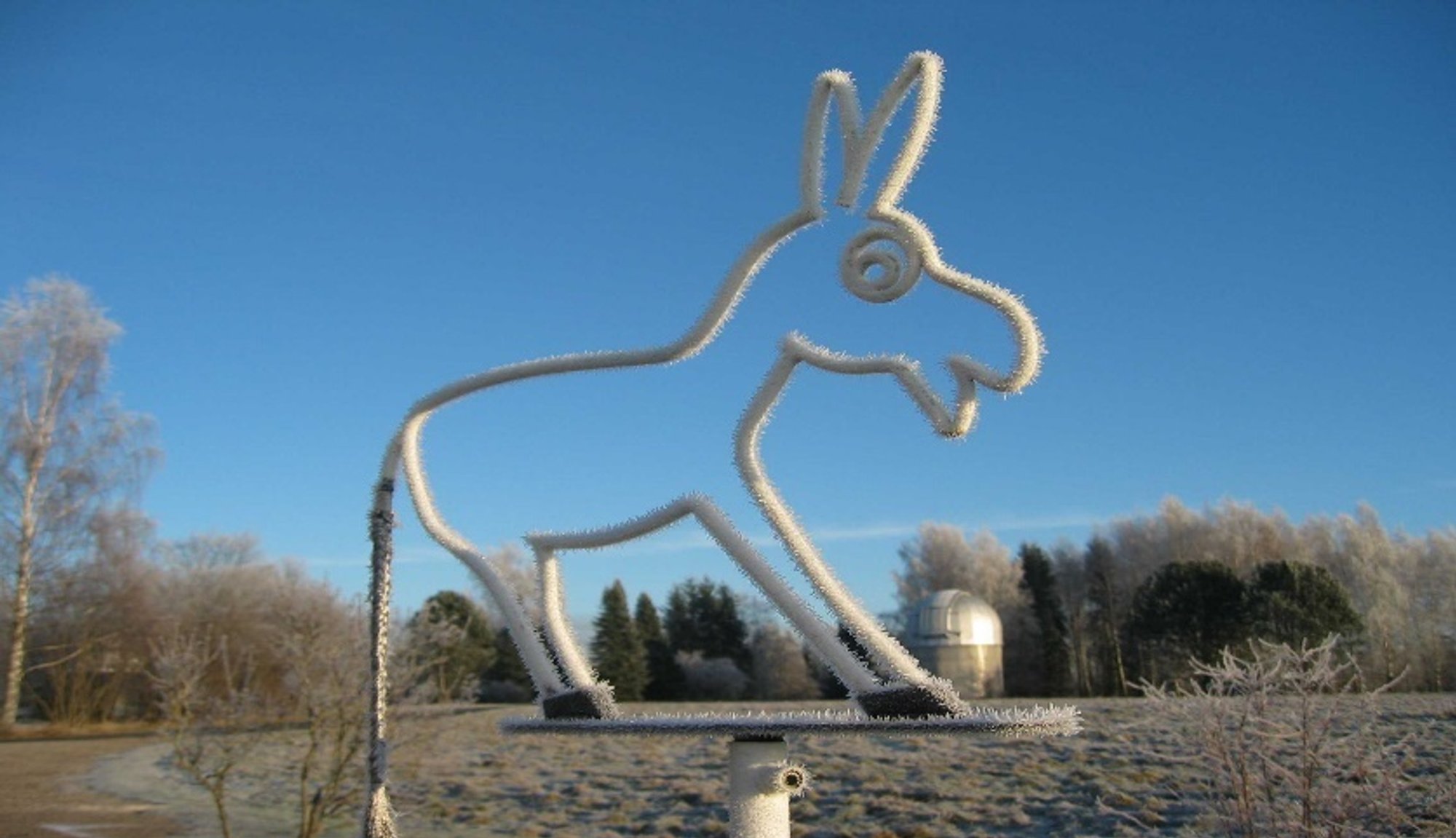 Teateid ilmaennustaja elust: toonekured varastavad kraadiklaase, eeslid mõõdavad tuult