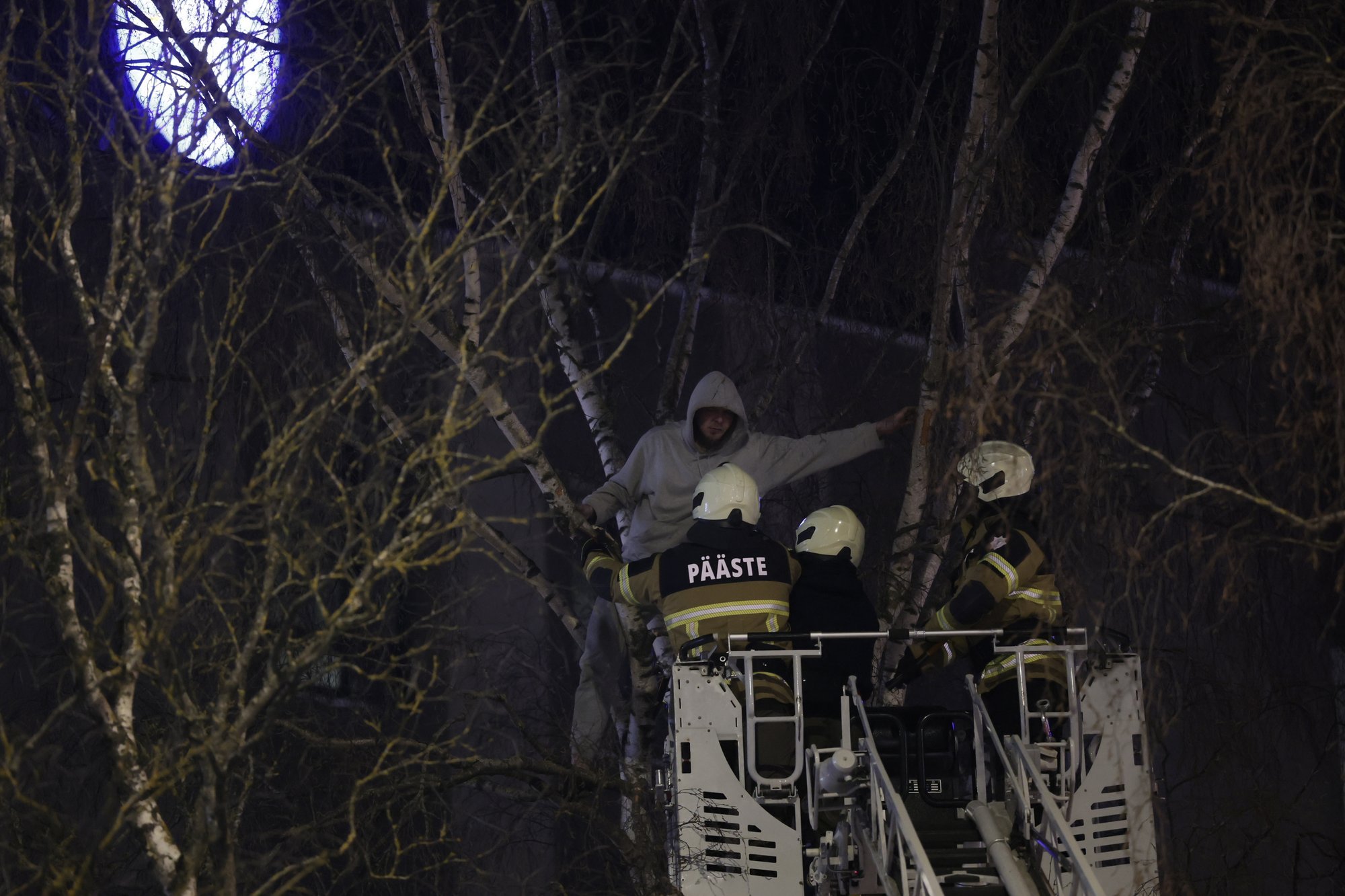 Sokiväel puu otsa põgenenud bemmijuht jäi lubadest ilma