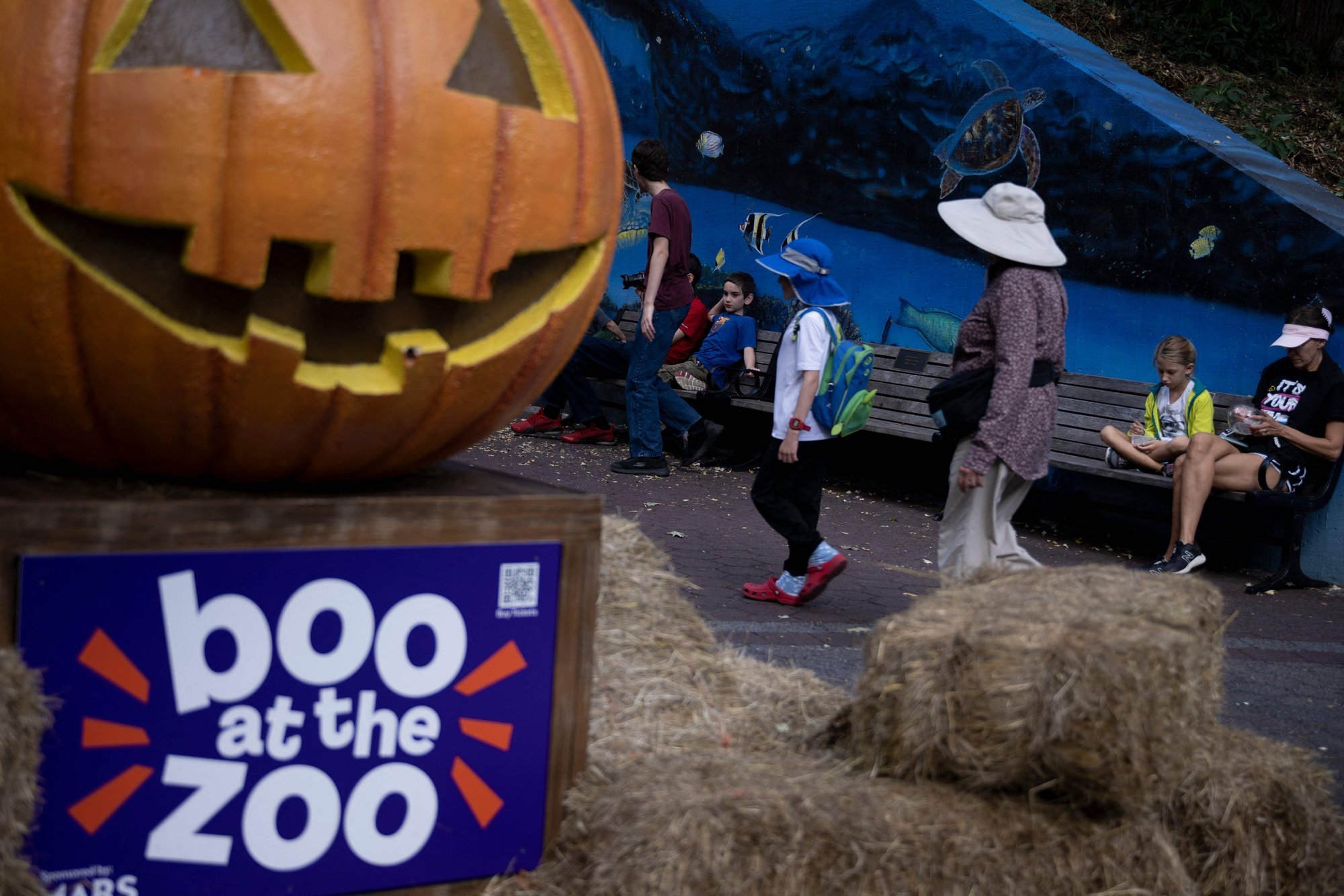 Anu Viltrop: USA muuseume dikteerivad üha enam tsensuur ja enesetsensuur. Tehkem nii, et Eestis ei saaks sama juhtuda