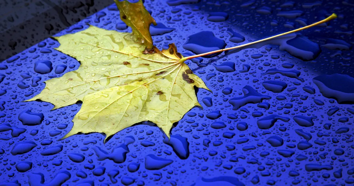 Reedel sajab paiguti vähest vihma