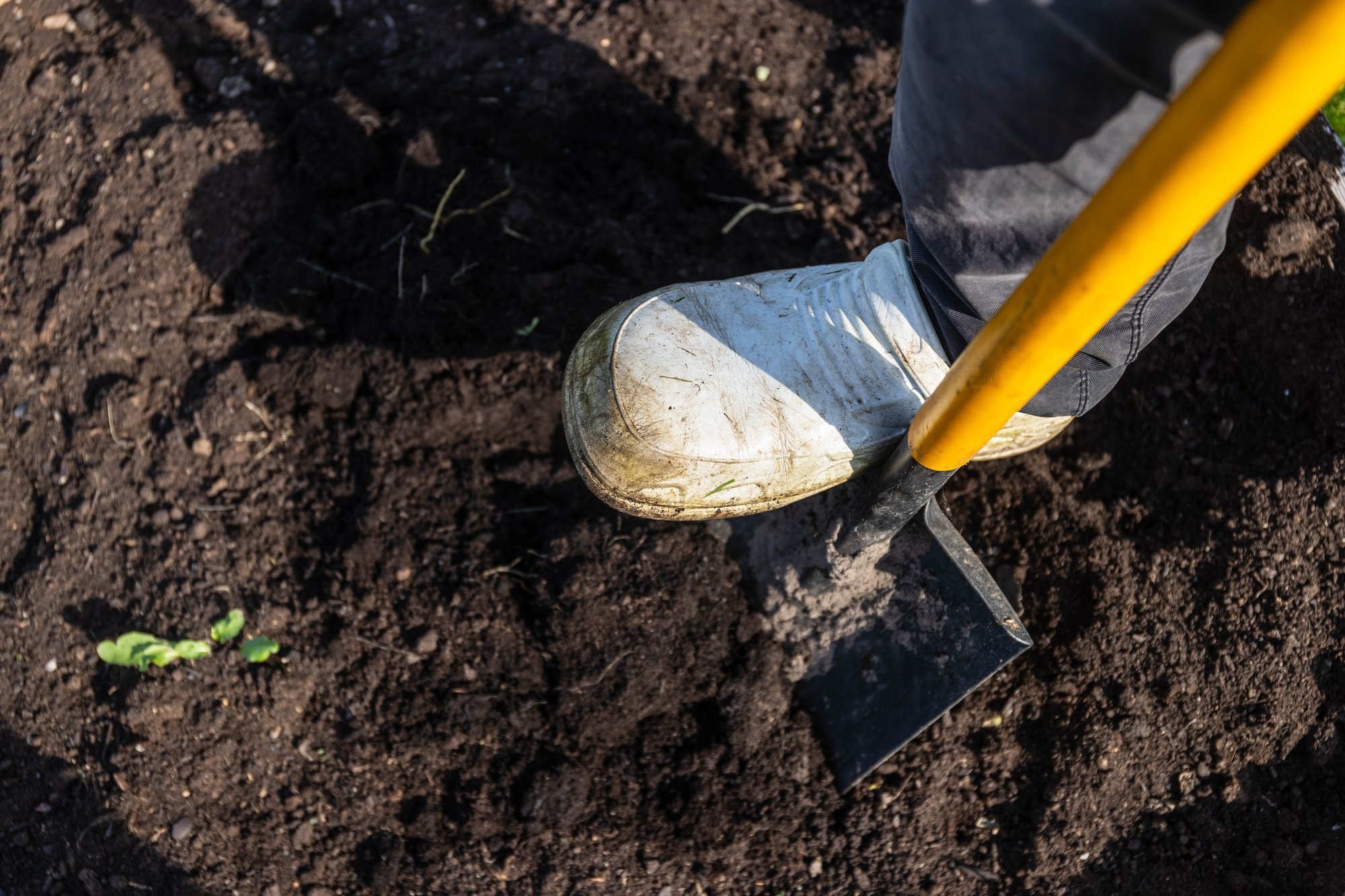 Saak jäi niruks? Muuda oma aias muld lihtsate võimalustega paremaks!