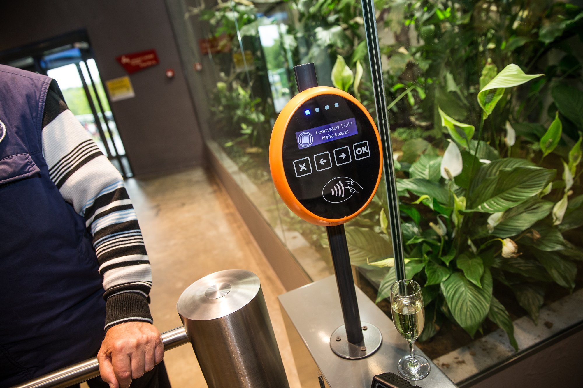 Kristi Klaas: kultuurielamus ei ole vaid Estonia teatri fassaadi vaatamine, nagu ei ole keskkonnaharidus bussiga läbi metsa sõitmine