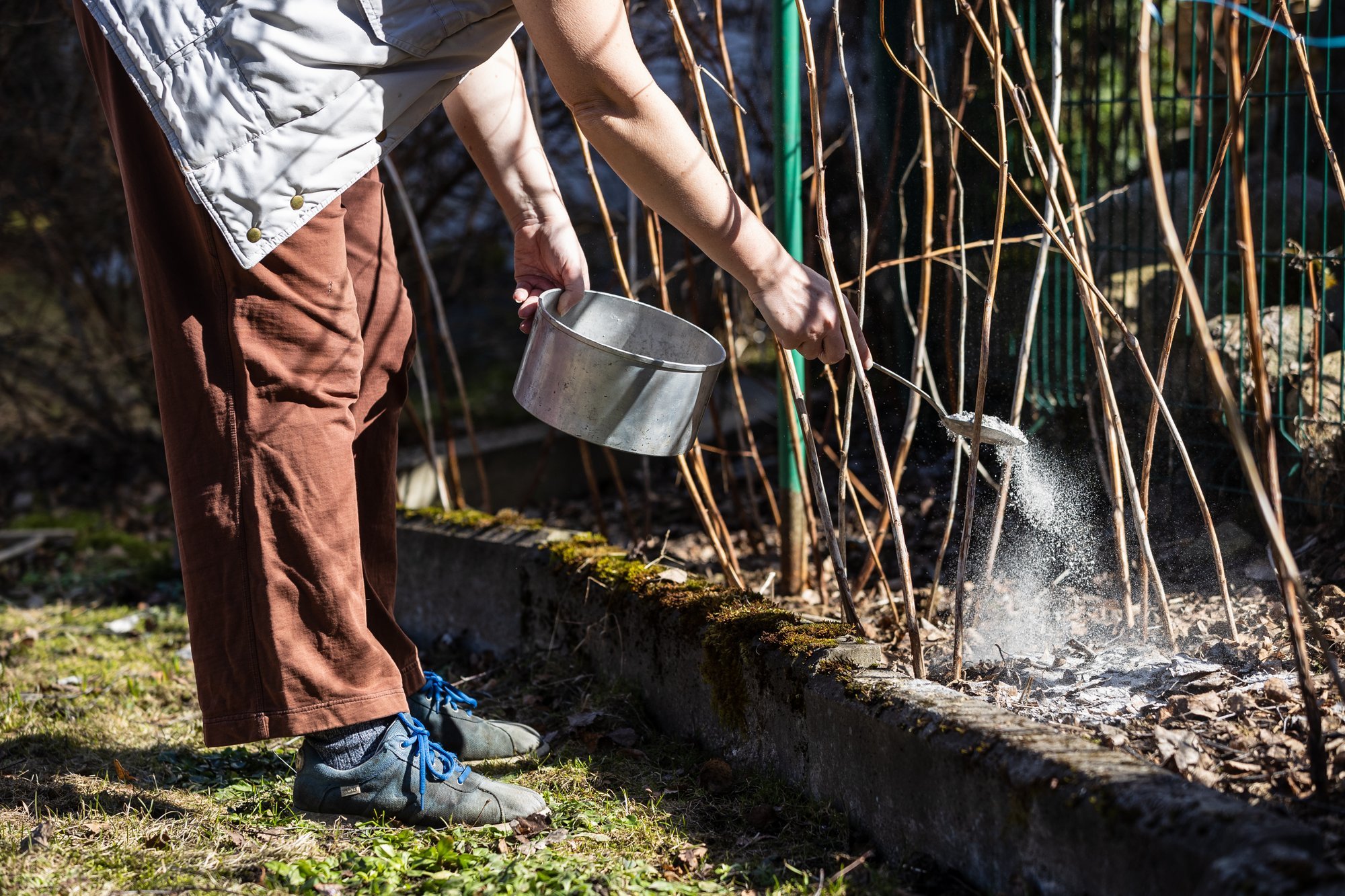 Tuhk on aias suurepärane väetis ja kahjurite tõrjuja