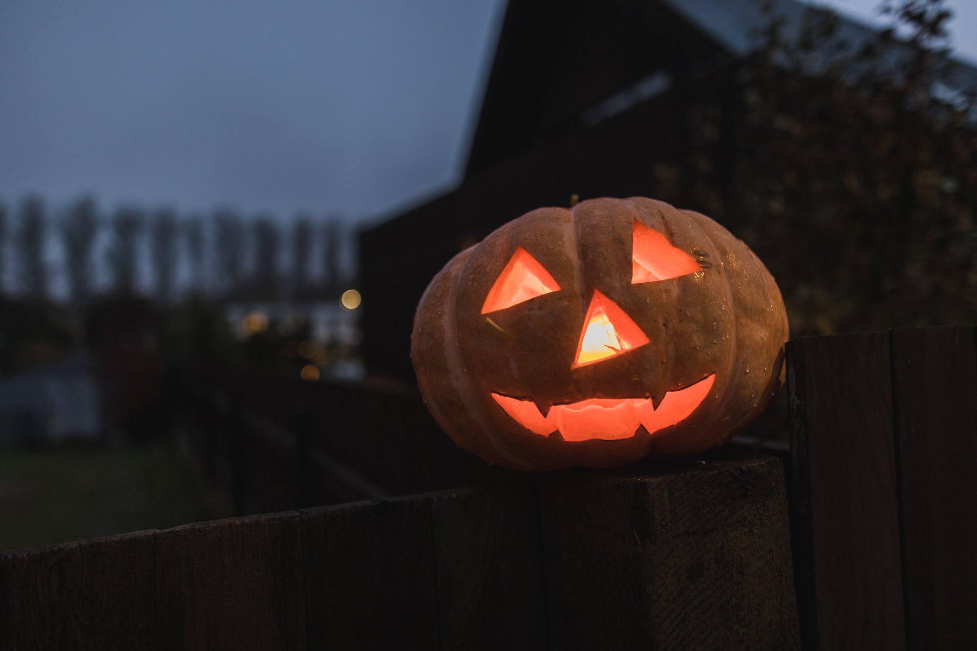 Halloween’i tähistamine algas Euroopas ja jõudis Ameerika kaudu ringiga tagasi