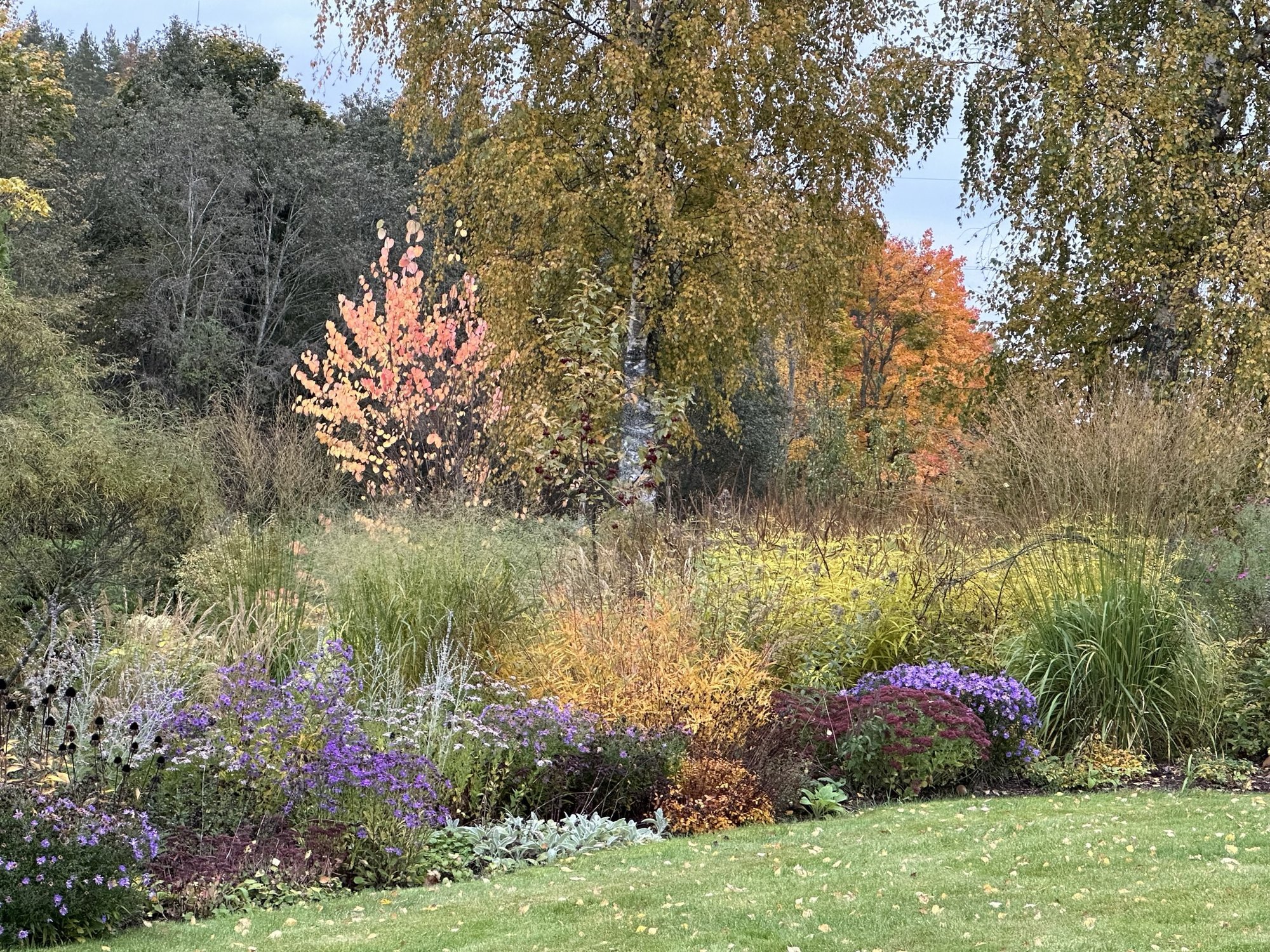 Maria Palusalu peenraidee, kus mängivad sügisrütmid ja värve jagub püsivate külmadeni
