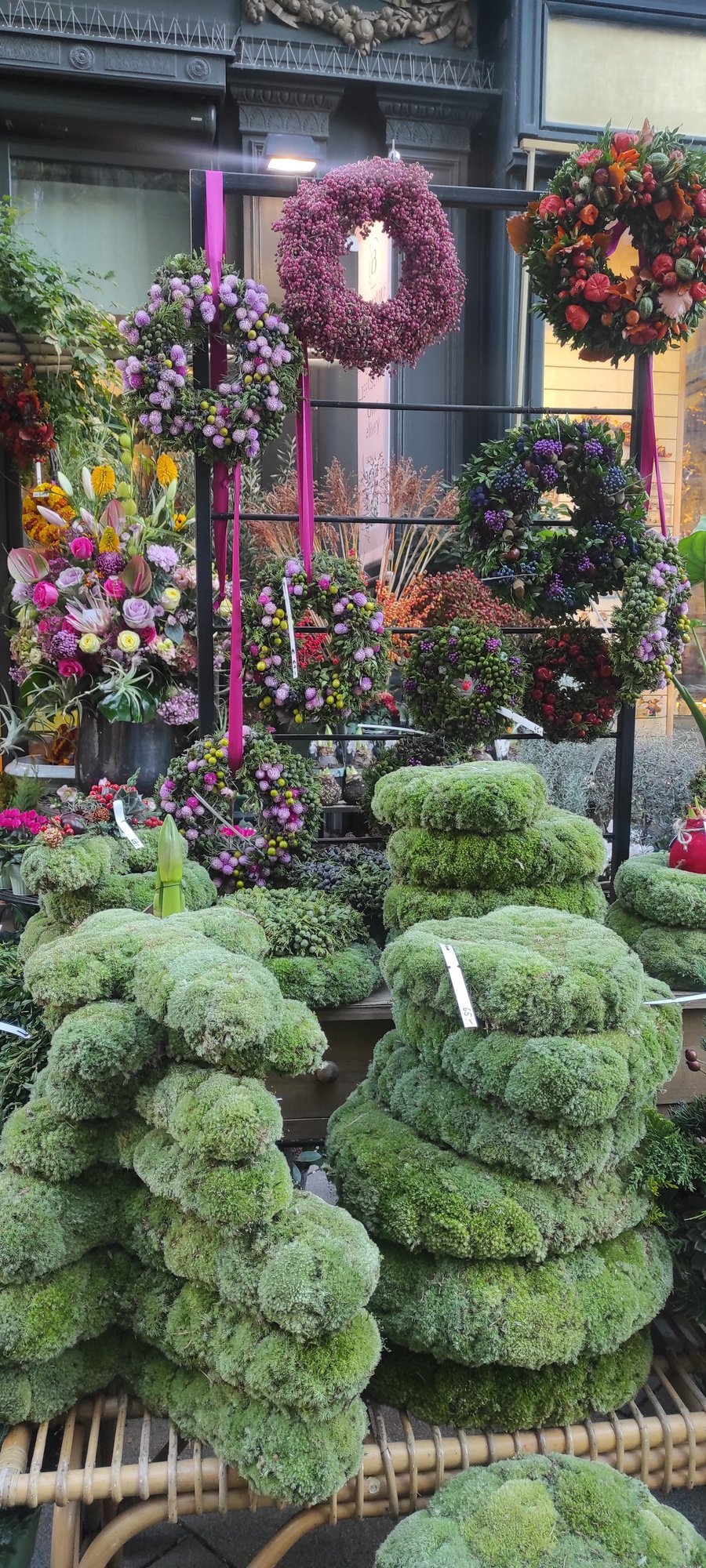 Taimeseaded muudavad halli sügise kirkamaks