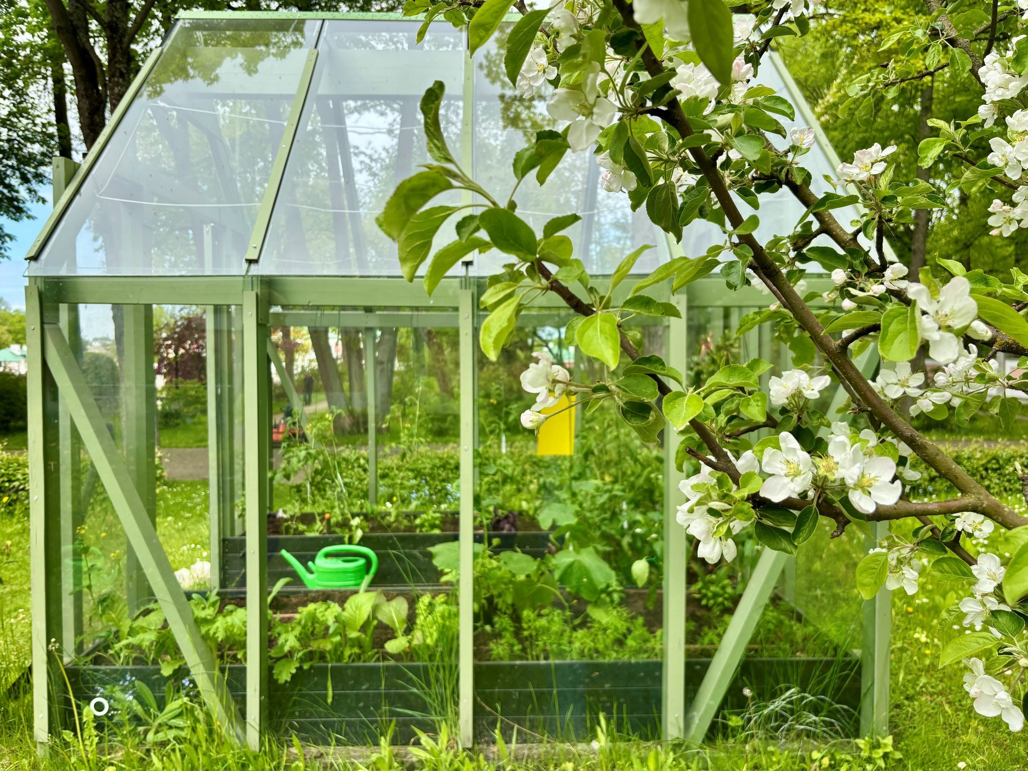 Kadriorus andis presidendi kantselei aia triiphoone rikkaliku saagi