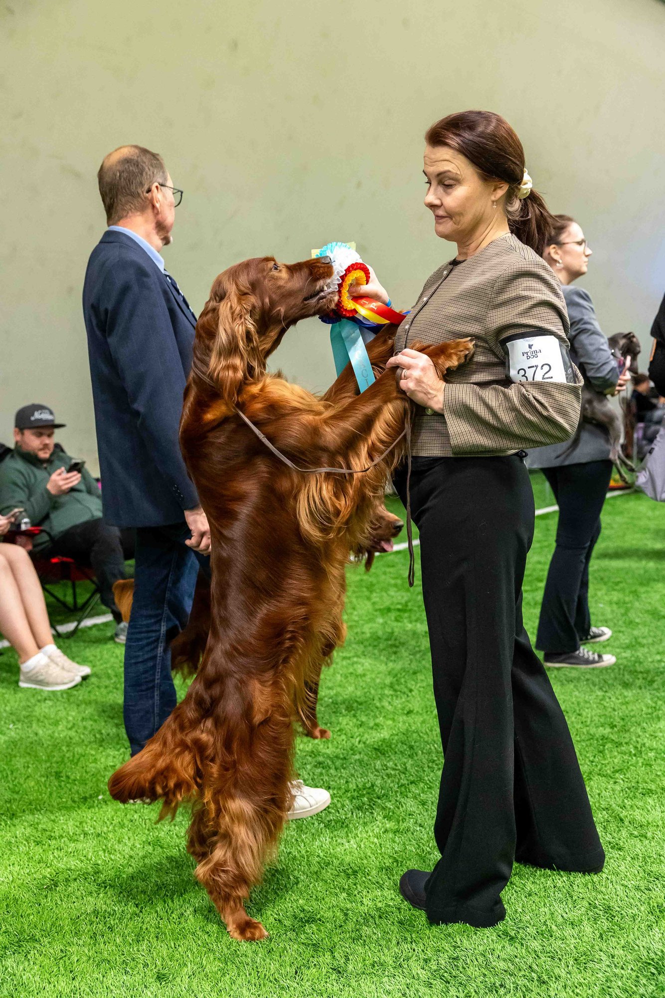 SUUR GALERII | Rahvusvahelisel koertenäitusel võis imetleda enam kui 200st tõust koeri