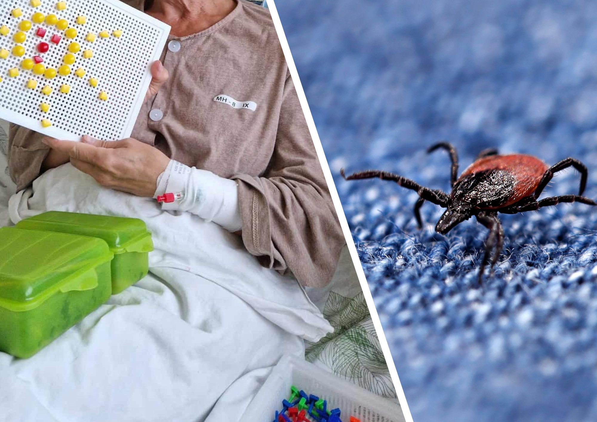 „Ma ei soovi kellelegi selliseid piinu.“ Puukentsefaliit viis Pille intensiivraviosakonda ja rikkus mälu