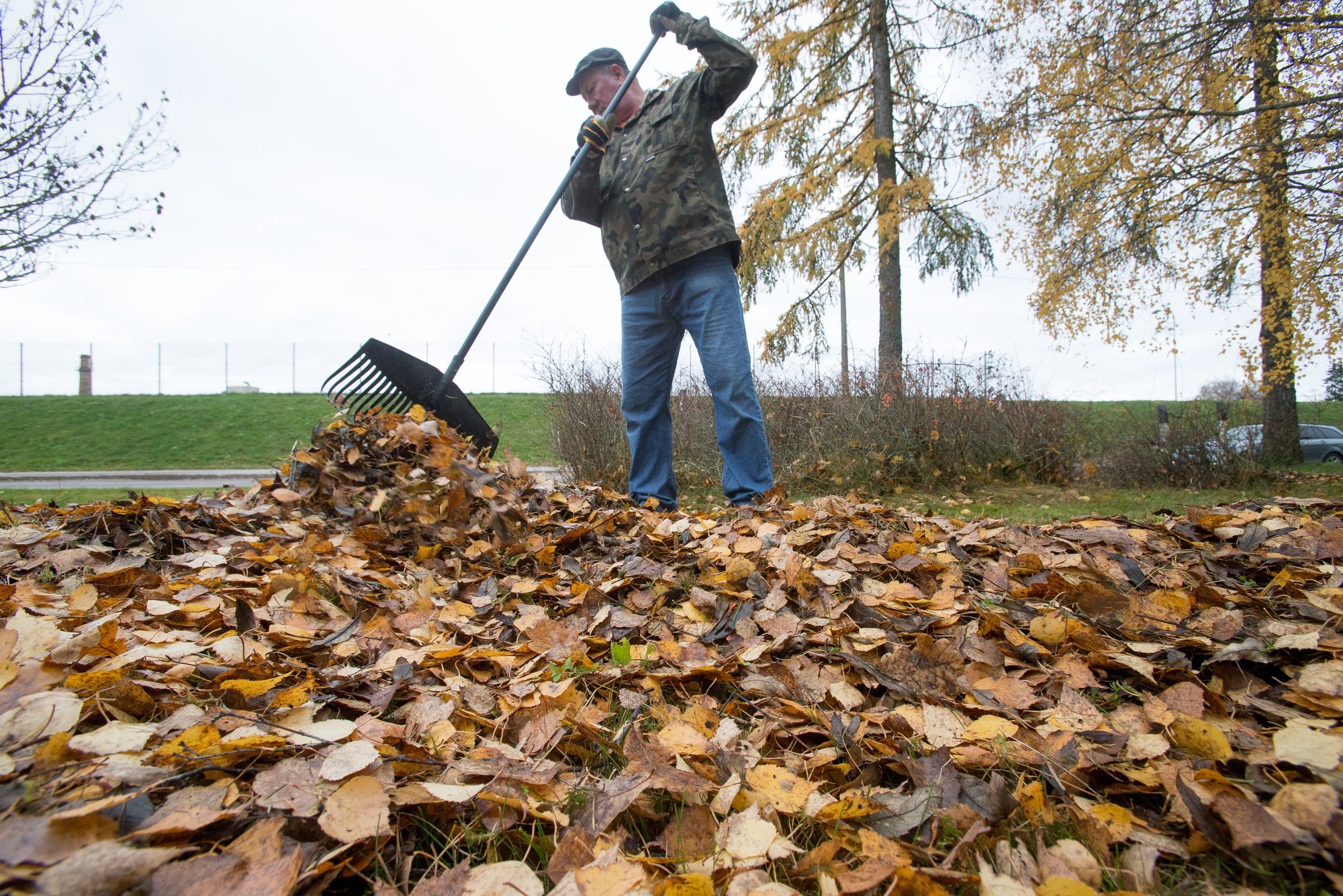 Eva Luigase nimekiri, millised aiatööd teha ära enne aasta lõppu. Lisatud Thuni külvikalender