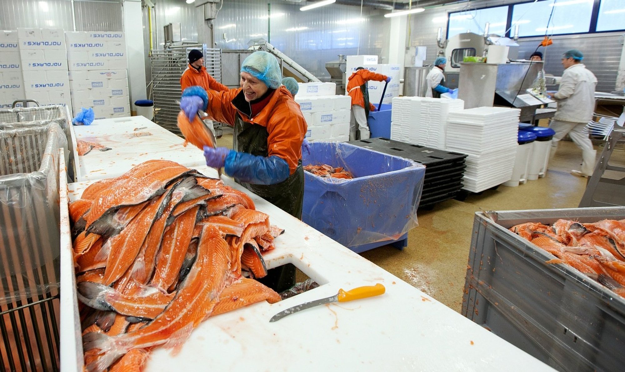 Kohus on otsustanud: M.V.Wool ei rakendanud piisavalt meetmeid toidu saastumise vältimiseks