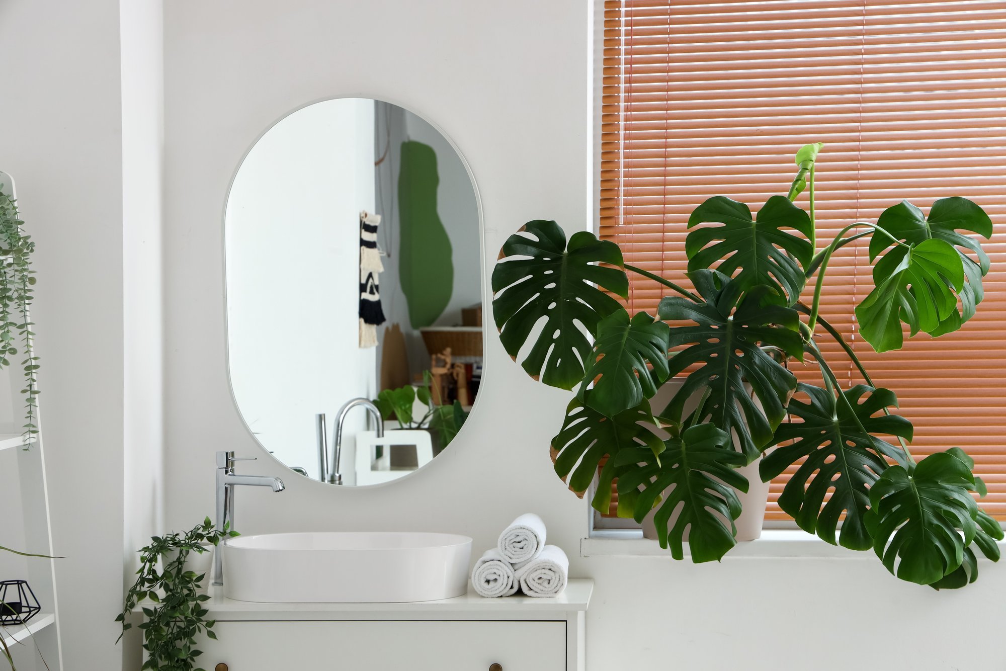 Millised taimed sobivad kasvama aknaga vannituppa?