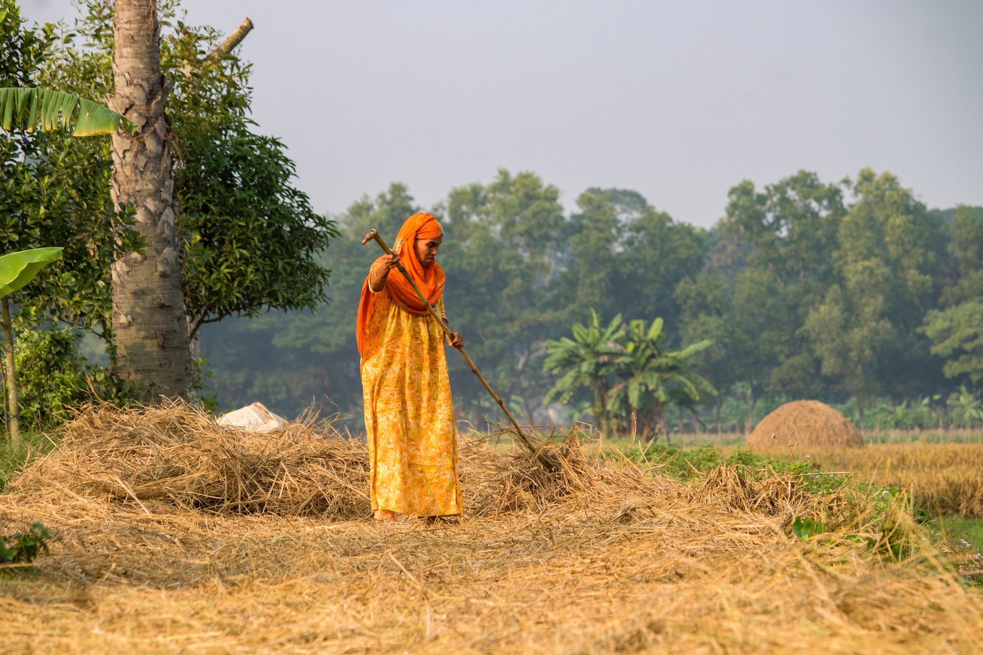 Keeld käia pargis, keelatud töökohad ja rahaline sõltuvus mehest – eri viisid, kuidas naiste õigusi üle maailma rikutakse