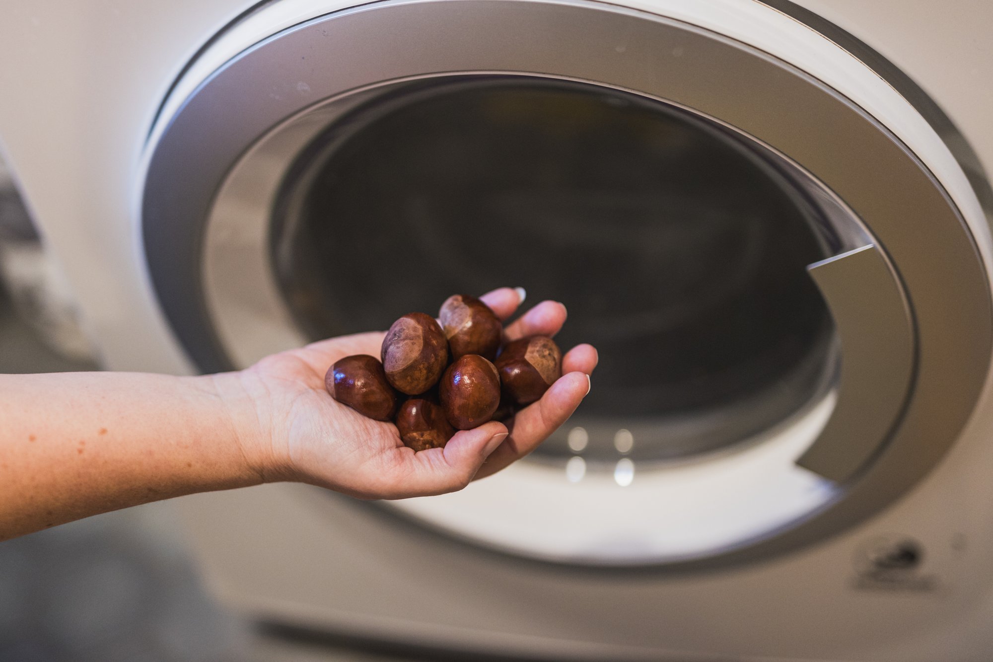 VIDEO | Kuidas valmistada kastanitest soodne looduslik pesuvahend ja kas see peseb pesu puhtaks?