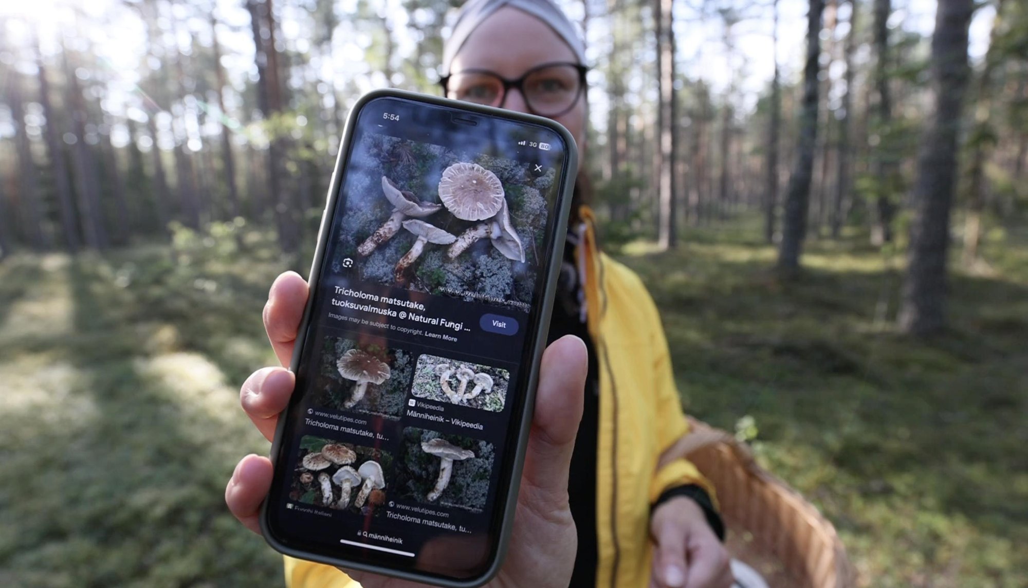 Jaapanis maksti Soomes kasvanud mõne seene eest ligi 5000 eurot. Ülikallist seent leidub ka Eestis