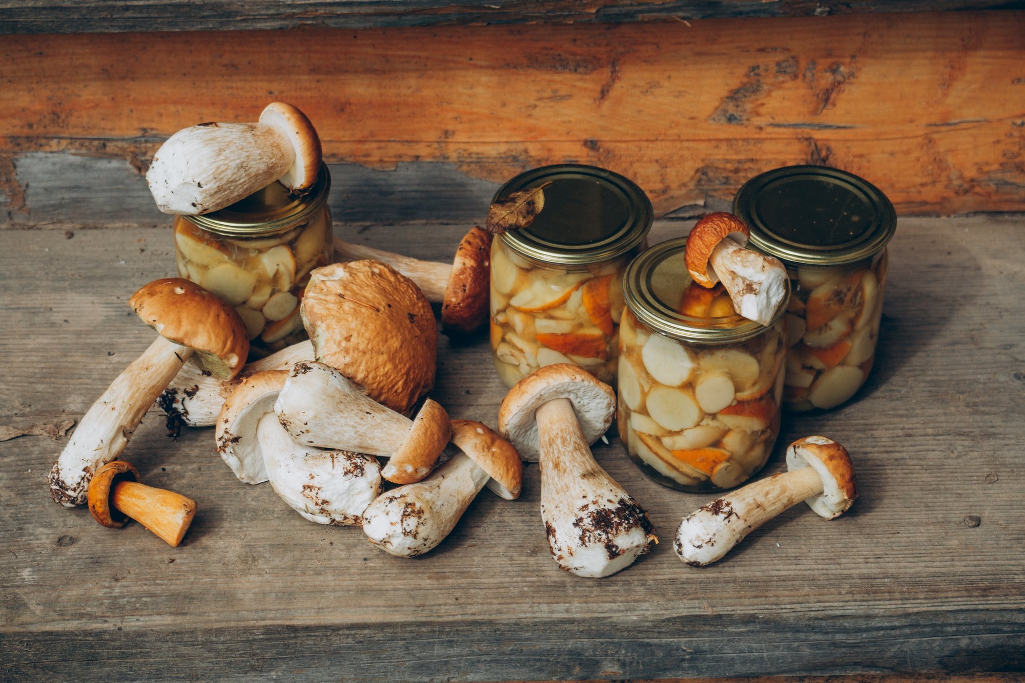 ÕPETUS | Seente hapendamine, marineerimine, konserveerimine ja soolamine